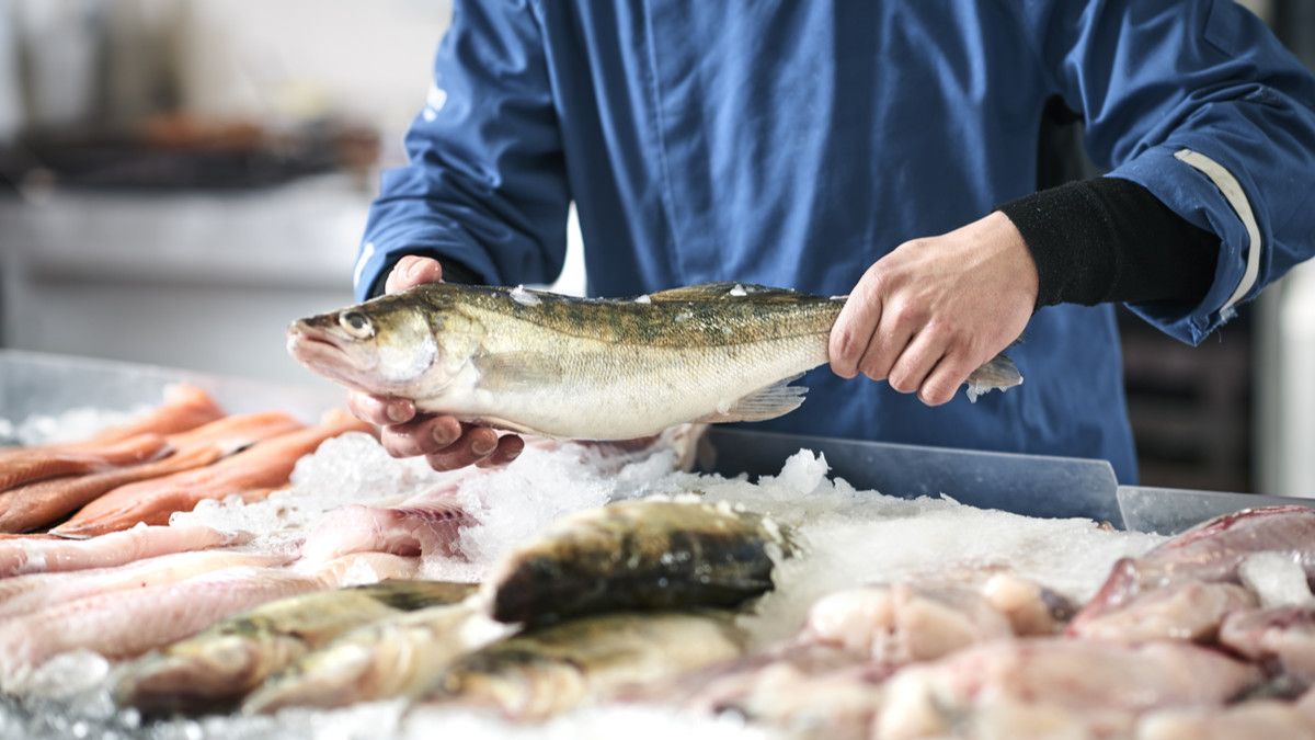 6 Jenis Ikan yang Sehat untuk Dikonsumsi dan Rekomendasi Mengolahnya