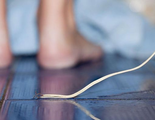 Pertolongan Pertama untuk Korban Kesetrum