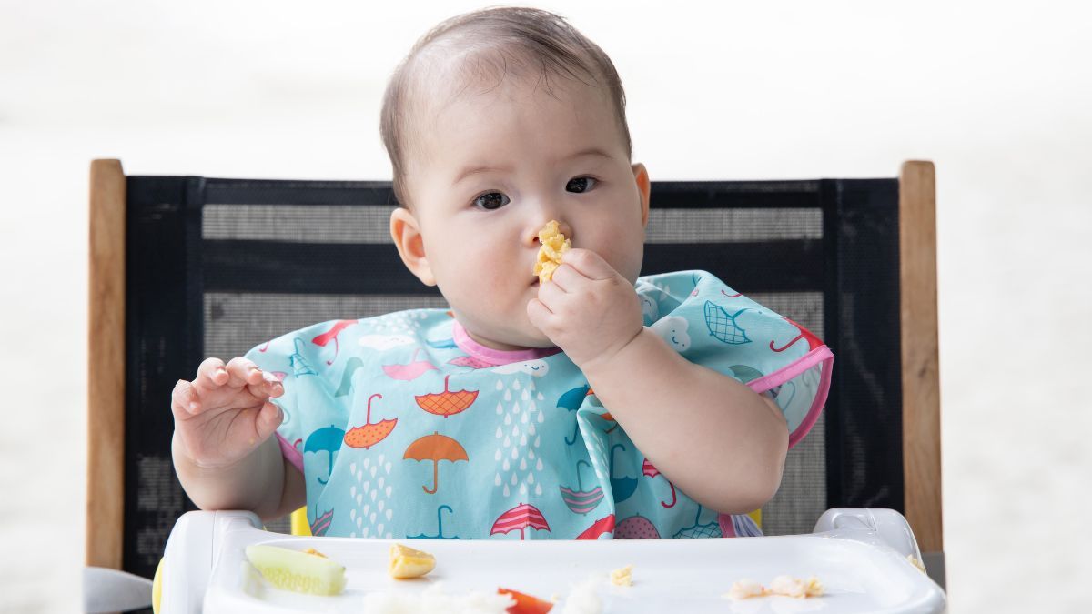 makanan penumbuh gigi bayi