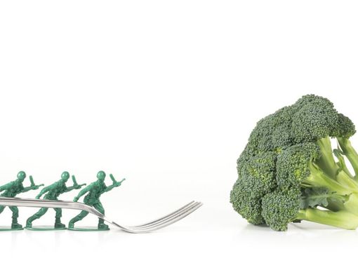 Turun 5 Kg Dalam Seminggu Berkat Military Diet, Amankah?