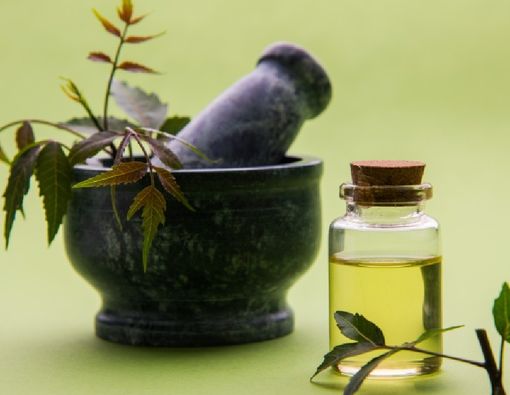 Menilik Manfaat Minyak Daun Neem untuk Kulit