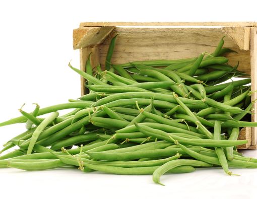 Ini Dia Manfaat Buncis untuk Penderita Diabetes
