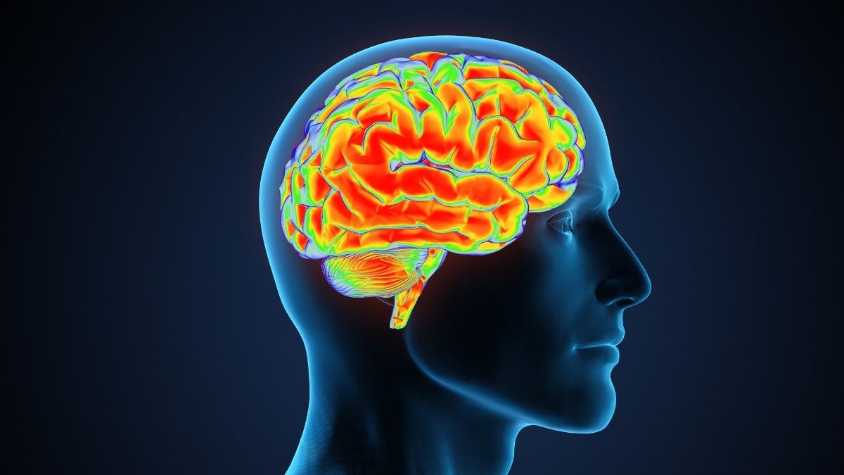 Studi Temukan Penyebab Brain Fog pada Penyintas COVID-19 ...