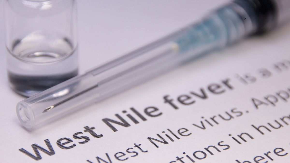 Bahaya Virus West Nile yang Perlu Kamu Waspadai - KlikDokter