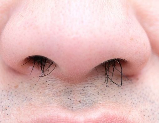 Fakta-Fakta Menarik Tentang Bulu Hidung
