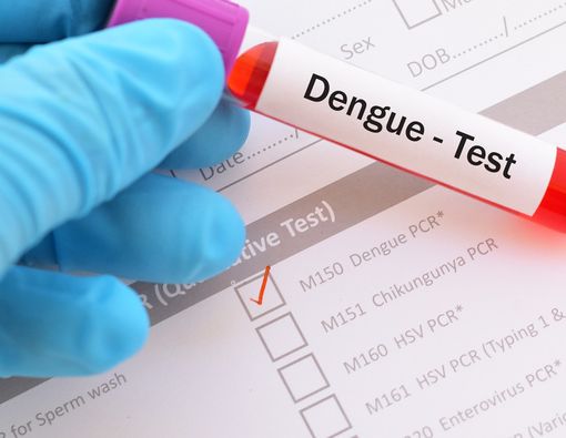 Ini Cara Mudah Meningkatkan Trombosit Saat DBD