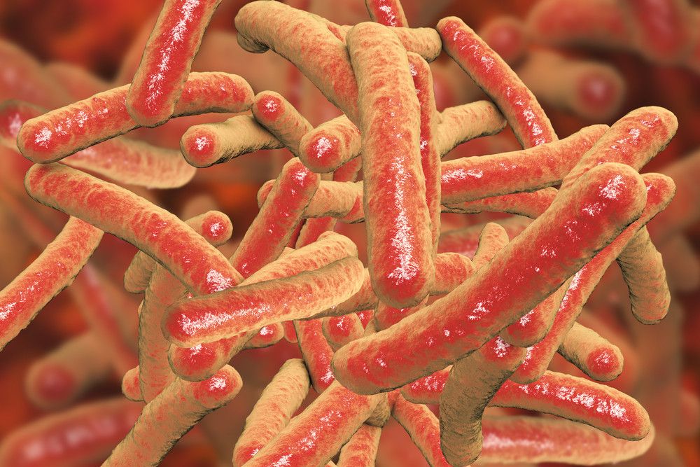 Kiat Cegah Tuberkulosis Kelenjar, Penyakit Berbahaya dan Mematikan