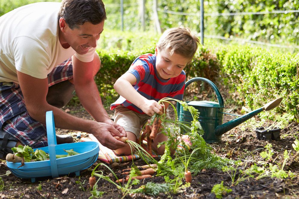 Dapatkan 4 Manfaat Berkebun untuk Keluarga