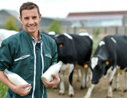 Hanya Minum Susu Masih Kurang Menjaga Kesehatan Tulang