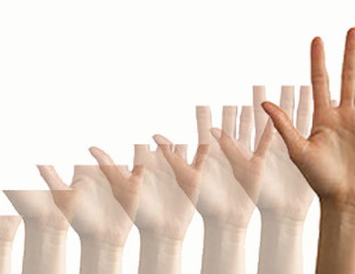 Kandung Kemih Babi: Menumbuhkan Organ Tubuh yang Rusak