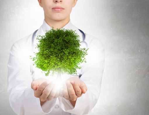 Kinari Webb: Selamatkan Hutan dengan Stetoskop