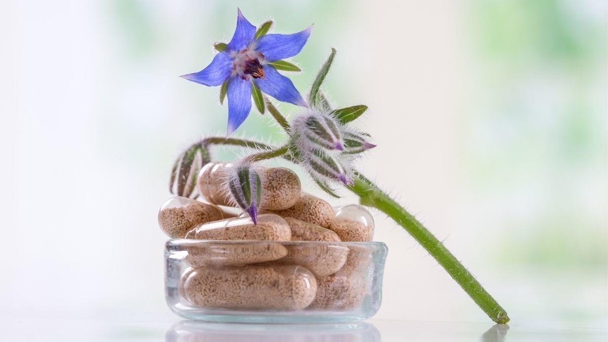 Sederet Manfaat Berberine untuk Kesehatan Tubuh
