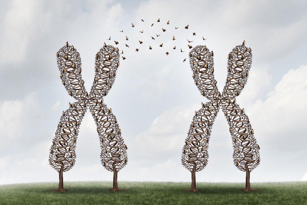 Familial Hypercholesterolaemia, Ketika Kolesterol Tinggi Diwariskan dalam Keluarga