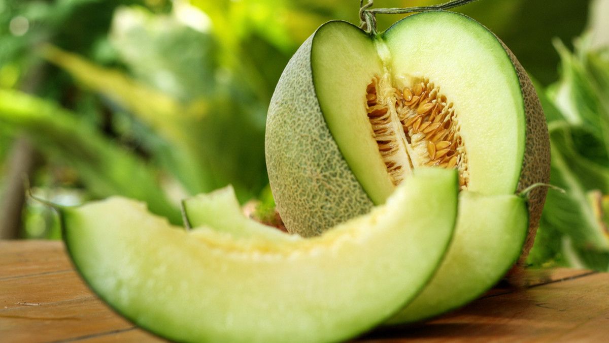 Menilik Manfaat Melon untuk Ibu Hamil