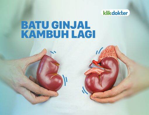 Batu Ginjal Penyakit Kambuhan, Mitos atau Fakta?