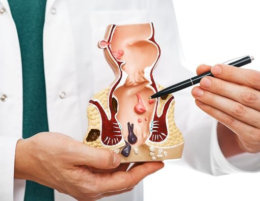 Mengenal Bagian Anus dan Fungsinya