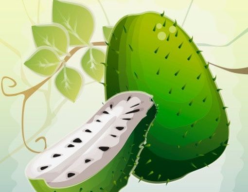 Misteri Sirsak untuk Anti Kanker