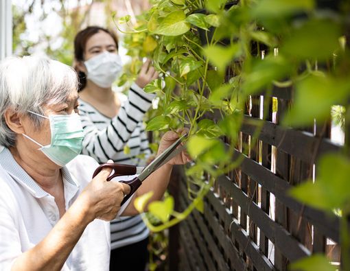 Tips Karantina Mandiri untuk Lansia yang Terinfeksi Virus Corona