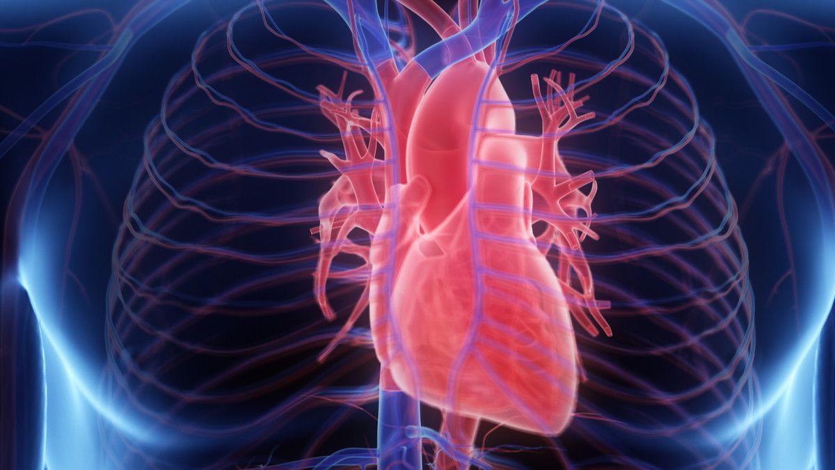 Pembesaran Jantung, Masalah Kesehatan yang Perlu Diwaspadai