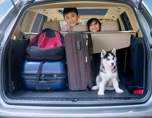 8 Barang yang Harus Dibawa Saat Liburan dengan Anak