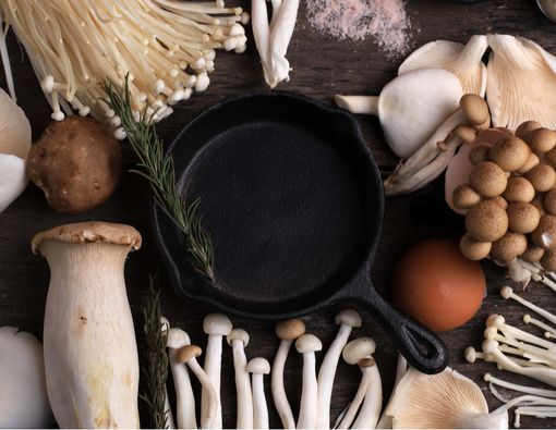 Mengenal Jenis Jamur yang Bisa Dimakan dan Manfaat Sehatnya