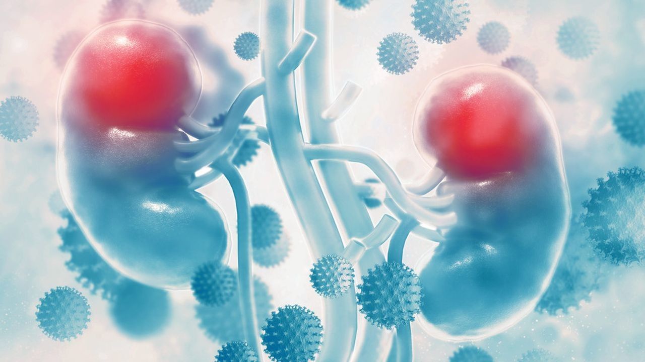 melamin buruk untuk ginjal