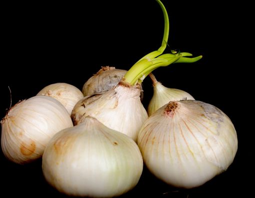 Ragam Manfaat Bawang Putih Tunggal untuk Kesehatan, Bisa Melawan Kanker