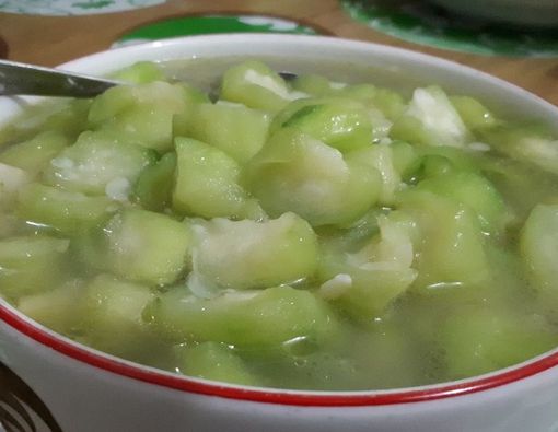 Segudang Manfaat Sayur Oyong untuk Ibu Hamil