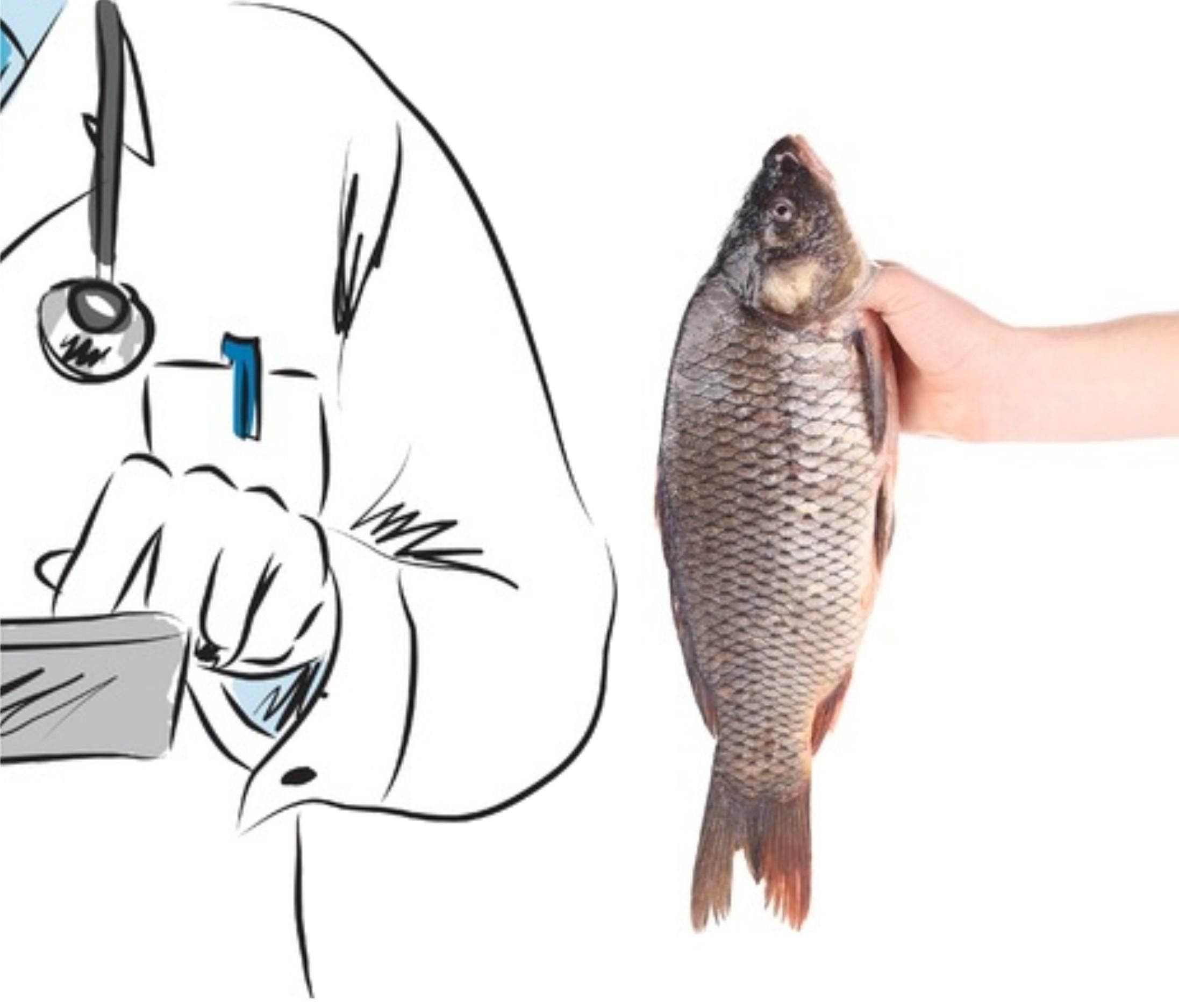 Baca Ini Dulu Sebelum Anda Makan Ikan!