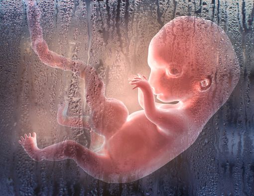 5 Kelainan pada Janin yang Bisa Dideteksi Sejak Dini