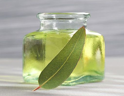 Minyak Kayu Putih Atasi Selangkangan Hitam, Ini Faktanya!