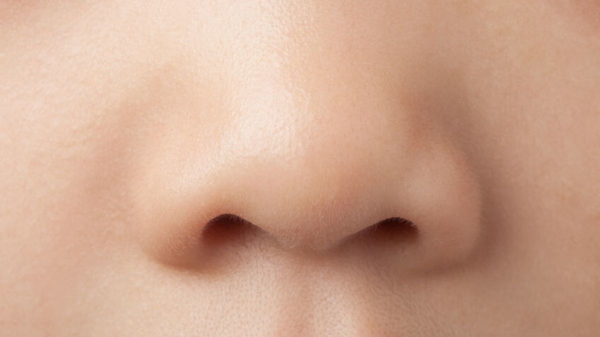 5 Fakta dan Mitos Seputar Kesehatan Hidung
