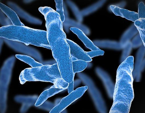 TBC juga Bisa Menyerang Kulit, Kenali Gejalanya!