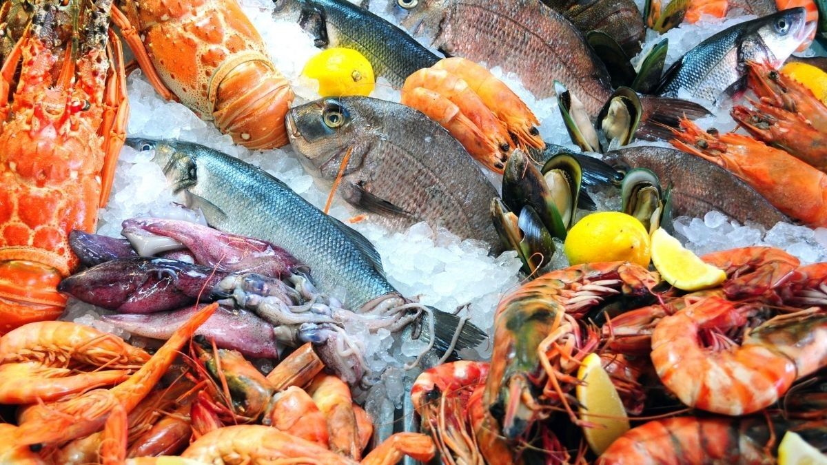 Pilihan Makanan Laut yang Menyehatkan Jantung