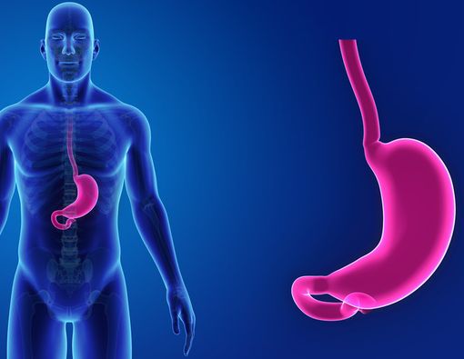 Porsi Makan Sedikit Bikin Perut Kecil?