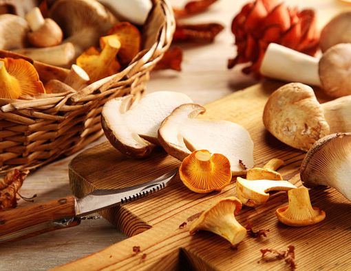 Jamur, Makanan Kerajaan Peningkat Stamina