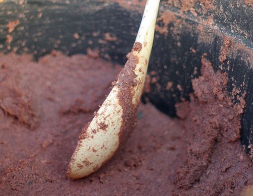 Apa Manfaat Terasi untuk Kesehatan Tubuh?