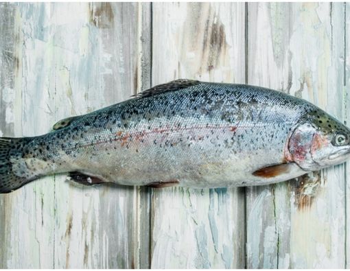 Manfaat dan Keamanan Suntik Ekstrak Salmon untuk Kesehatan