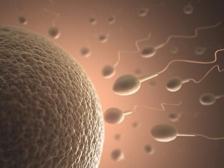 5 Langkah Memperbaiki Kualitas Sperma