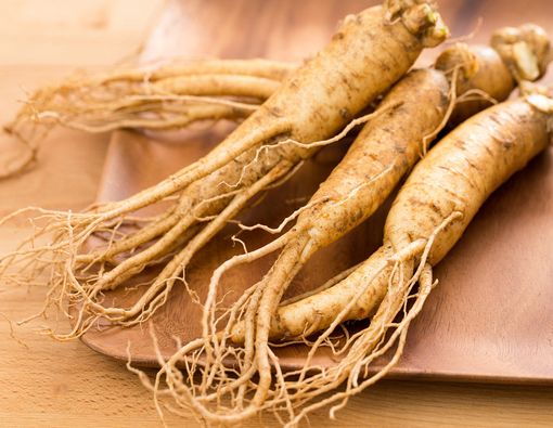 Nikmati Manfaat Ginseng bagi Kesehatan