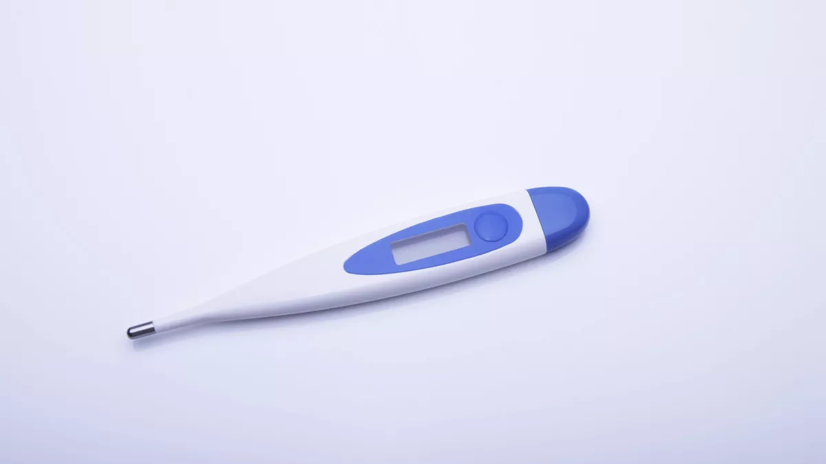 Amankah Menggunakan Termometer Rektal untuk Bayi? (Inna Zakharchenko/Shutterstock)