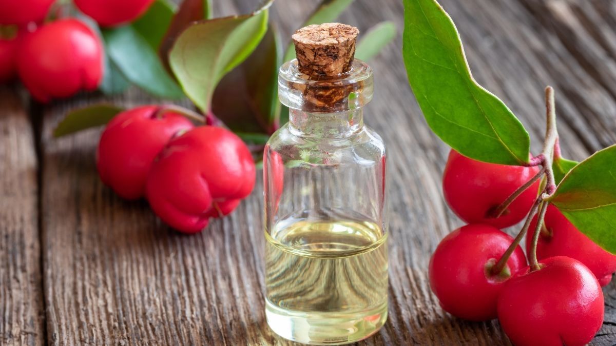 Menyingkap Manfaat Minyak Wintergreen untuk Kesehatan