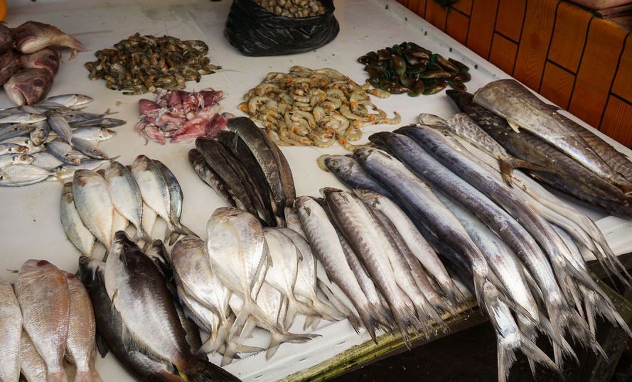 Menikmati Manfaat Ikan Laut Dalam