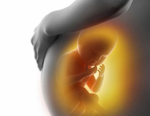 Ternyata Bayi Sudah Belajar Sejak dalam Kandungan