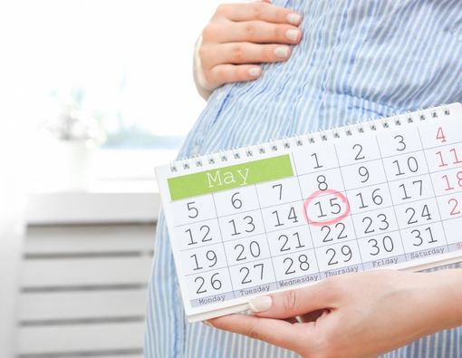 Ingin Hamil Anak Laki-laki? Kalender Masa Subur Bisa Membantu