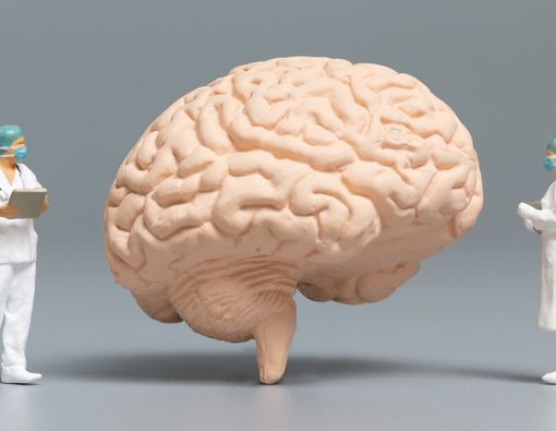 Catat! Ini Cara Mudah Penuhi Nutrisi Penting untuk Otak