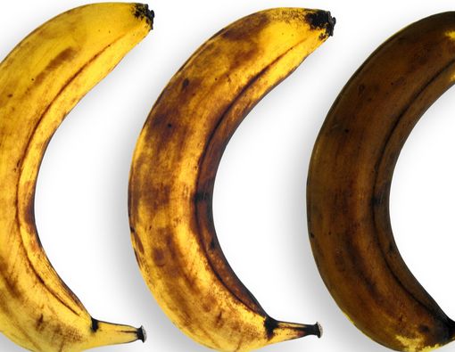 Penis Menghitam Setelah Tak Sengaja Tergigit, Apakah Itu Normal?