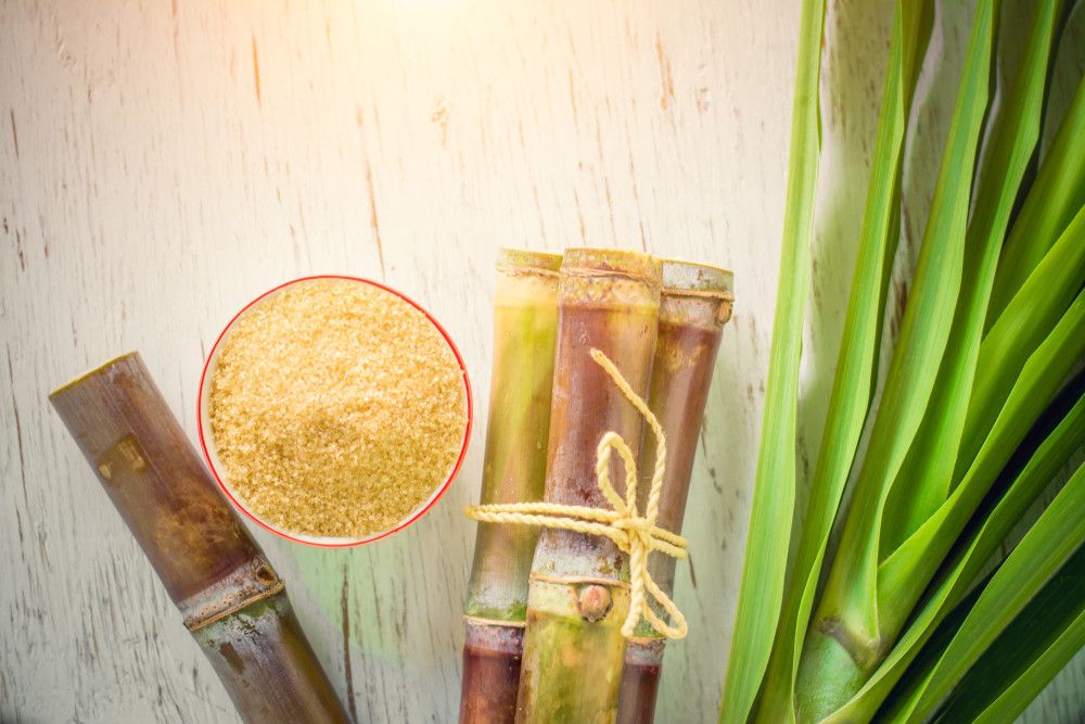 Gula Kayu, Pemanis yang Ramah untuk Penderita Diabetes