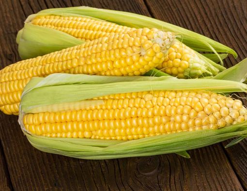 Manfaat Jagung bagi Pencernaan Anda