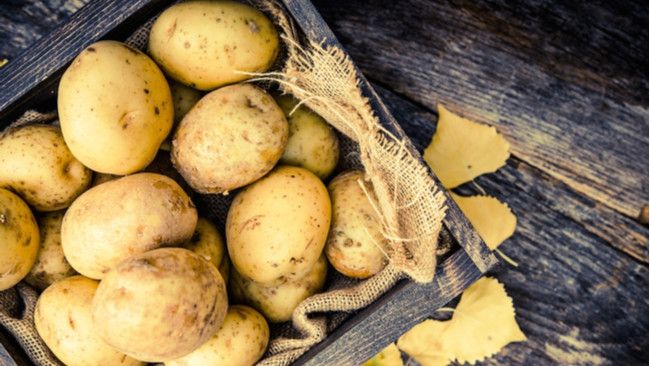 Makanan-makanan yang Berisiko Bila Dikonsumsi Saat Masih Mentah!